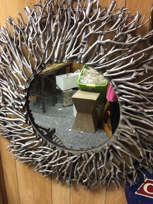 Pine Canopy Gazania Decorative Metal /Wood Round Mirror